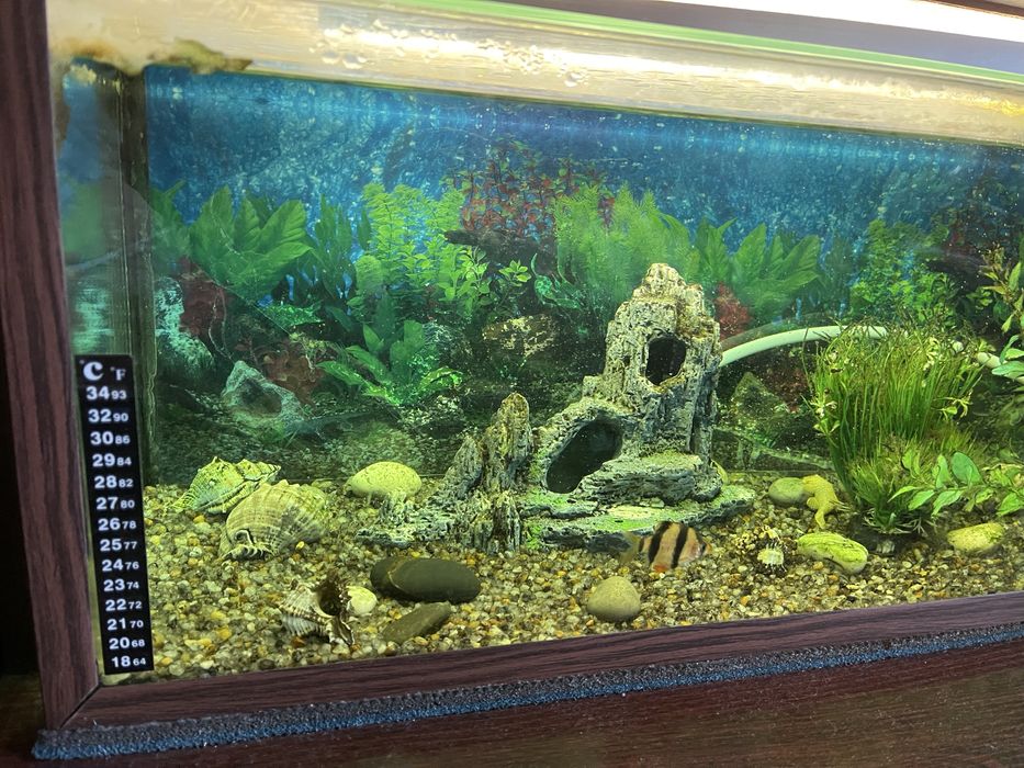 Продам акваріум