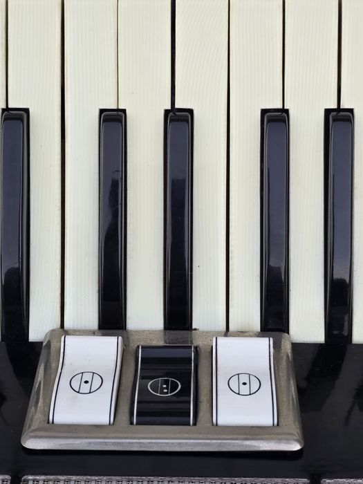 Akordeon Hohner Tango I M - 96 basów.