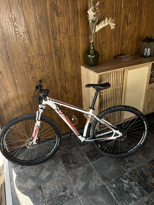 Specialized Roda 29
