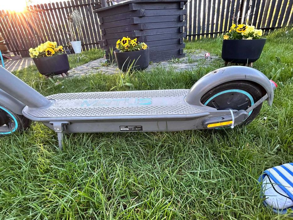 Hulajnogę elektryczną Motus scooty 10
