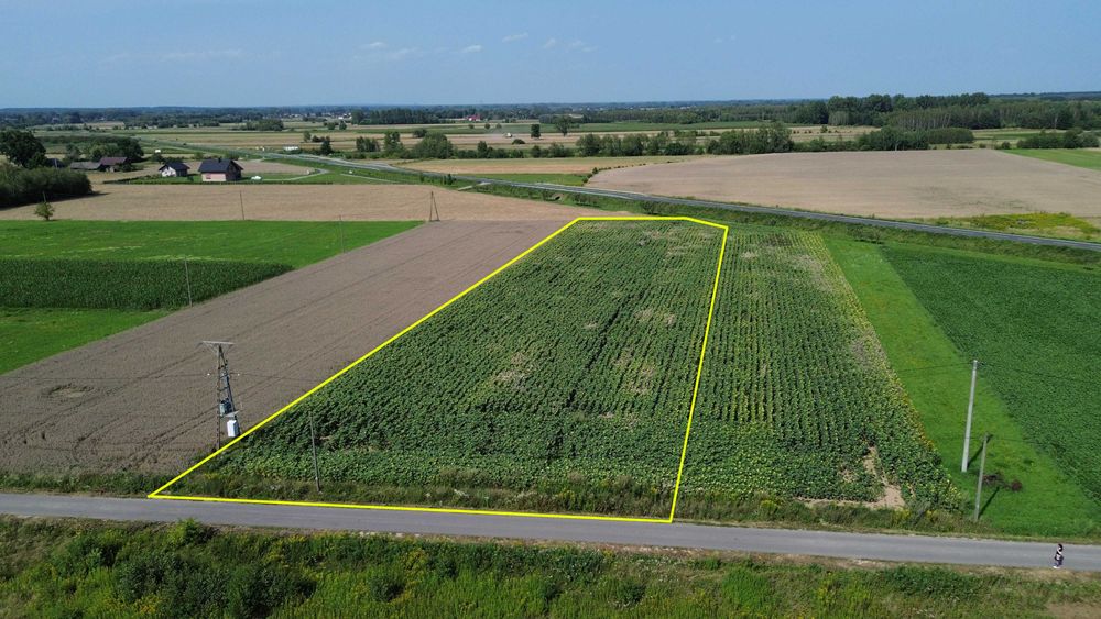 Atrakcyjna działka budowlana 55,64 ar, WZ na 4 domy, Kliszów k. Mielca