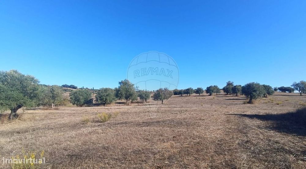 Terreno  para venda — Brogueira, Parceiros De Igreja E Alcorochel, Santarém