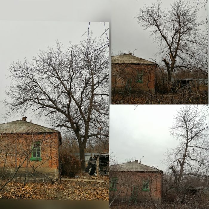 СПИЛЮдеревьяОБРЕЗКАветок/садаРАСПИ. Донецаяобл.