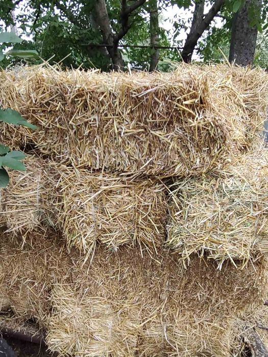 Солома ячменная в тюках