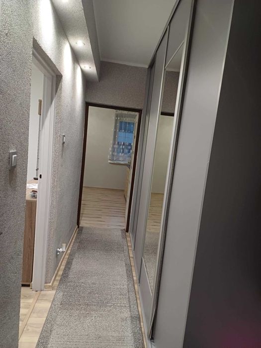 Wynajmę mieszkanie dwupokojowe, centrum, cena za całość,