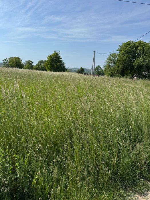 Продам земельну ділянку