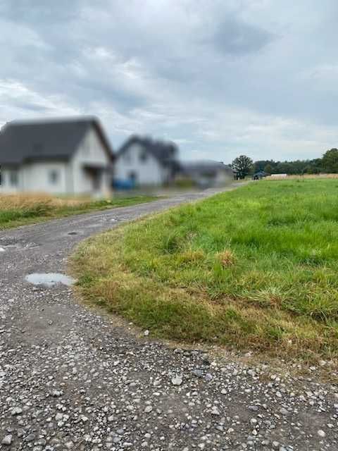 Zdjęcie 3