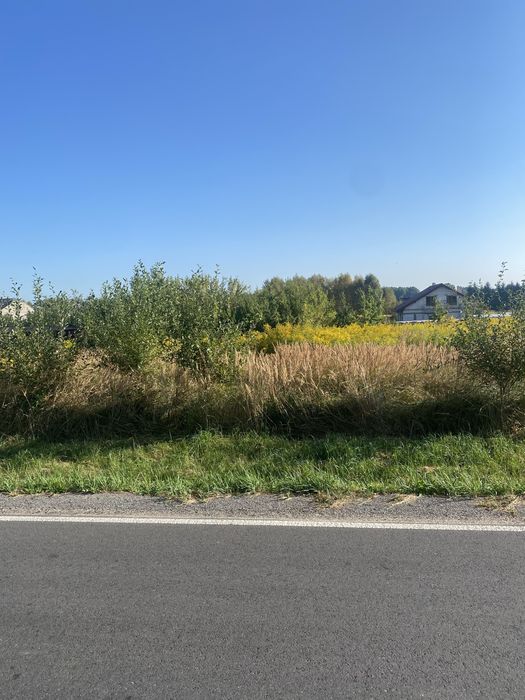Powiat myszkowski Pustkowie Lgockie Działka budowlana MPZP 1150 m² - Widok 4