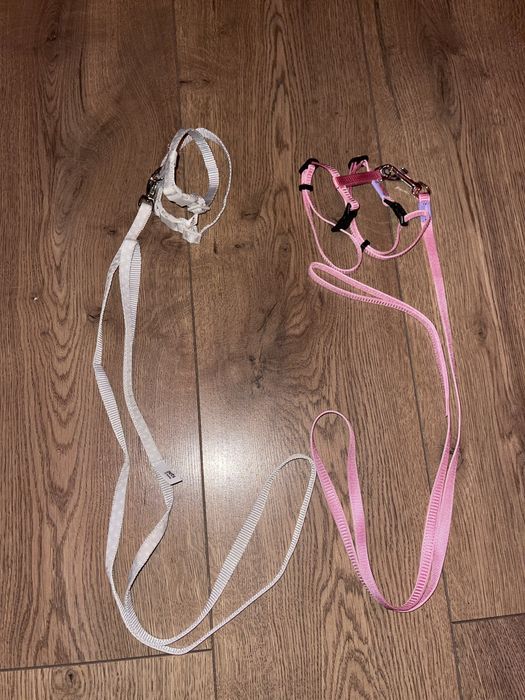 Шлейка з повідцем сіра рожева для малих собак та котів