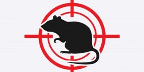 Дезінфекція дератизації дезінсекція