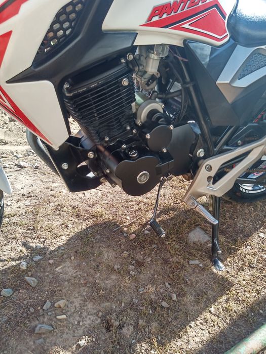 Продам срочно геон пантера н200