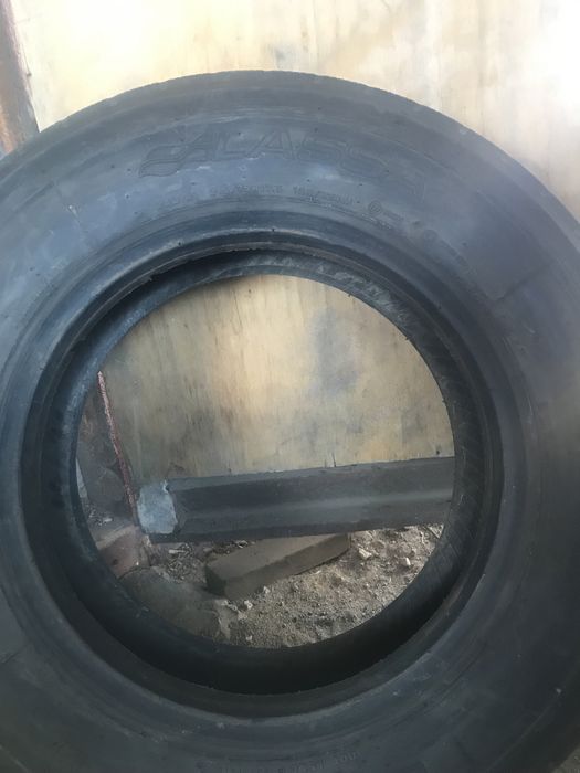 Продам ласка