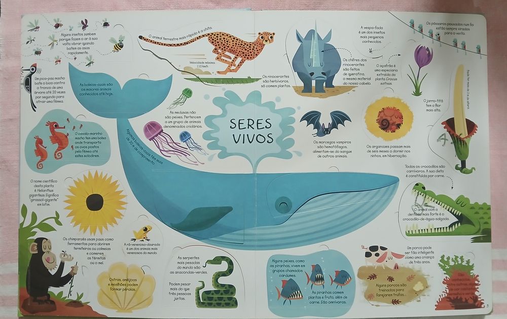 Espreita o conhecimento - Porto Editora