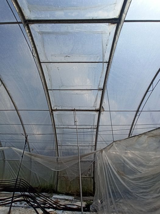 Tunel foliowy 10.5mx62m