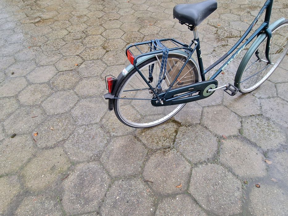 Rower holenderski limit i rivel