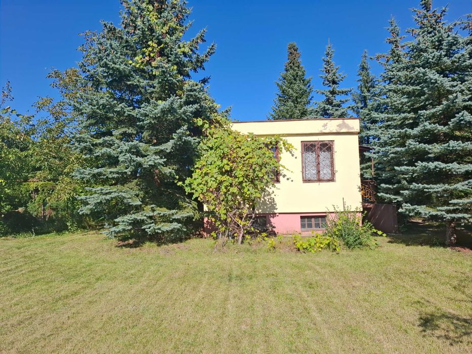 Sprzedam działkę ROD "Kolejarz" Olechów