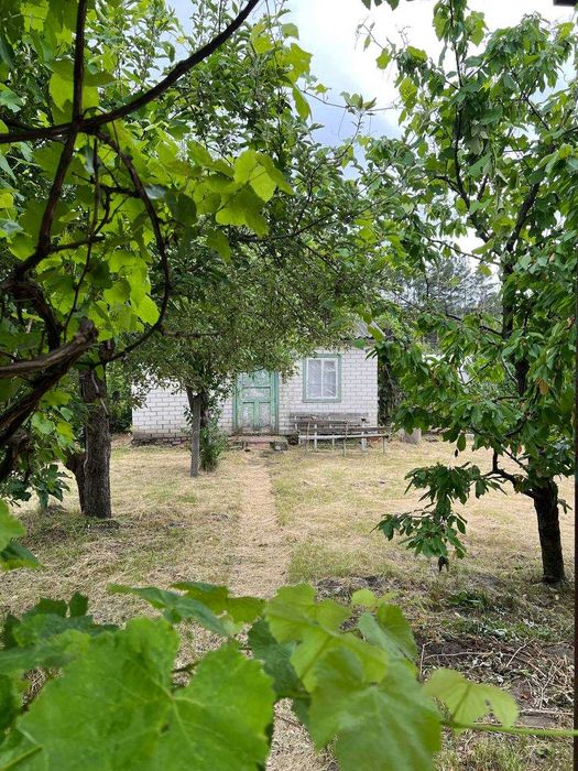 Продаж дачі в с. Будище кооператив Дружба