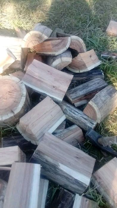 Todo  o tipo  de lenha