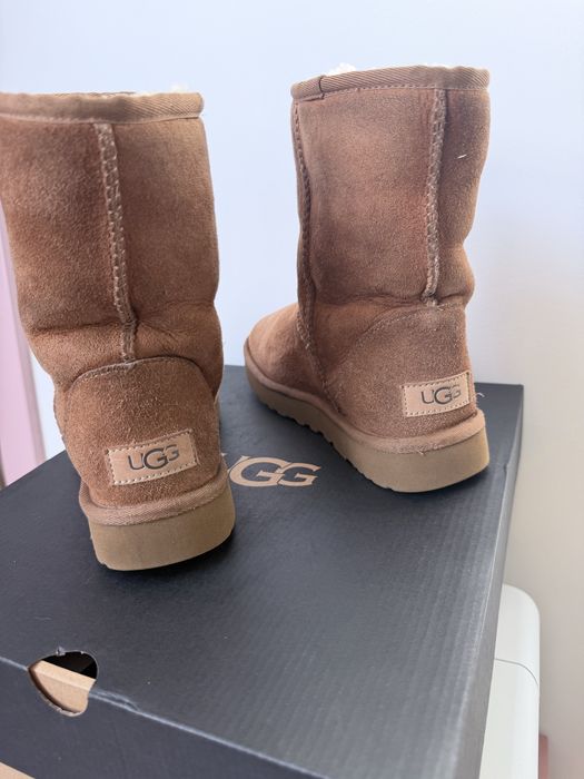 S iegowce ugg clasic