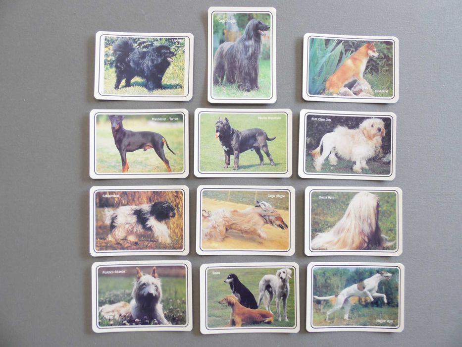 Calendários Cães