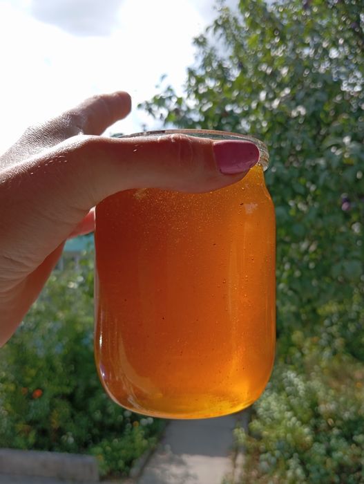 Мед травневий, акацієвий 2025 та липовий 2024 рік