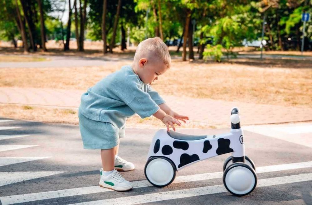 Jeździk Chodzik Rowerek Biegowy Lionelo SAMMY