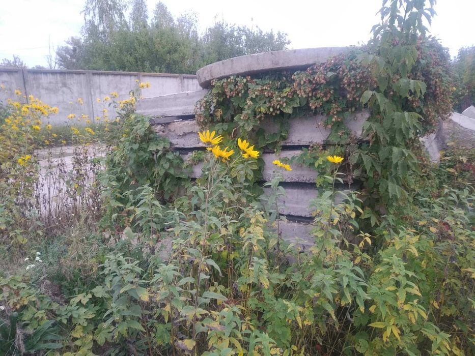 Катки, круги, кольця бетонні на каналізацію Овруч Лугини Народичі