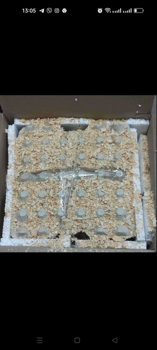 Інкубаційне яйце бройлер Чехія