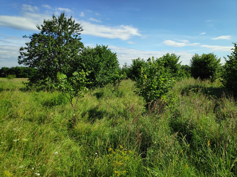 Działka 2655 m² z częścią budowlaną | Chruszczobród (gm. Łazy) - Widok 5