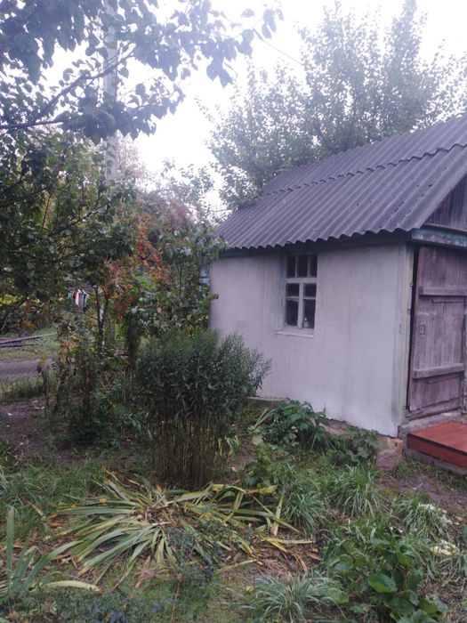 Продам будинок з великою ділянкою в с. Пилиповичі