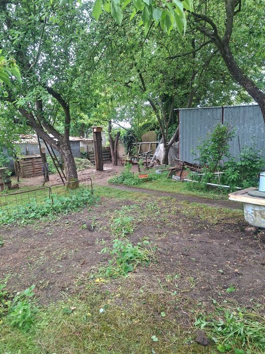 Ogródek działkowy ROD Szczecin Łukasińskiego - Widok 6