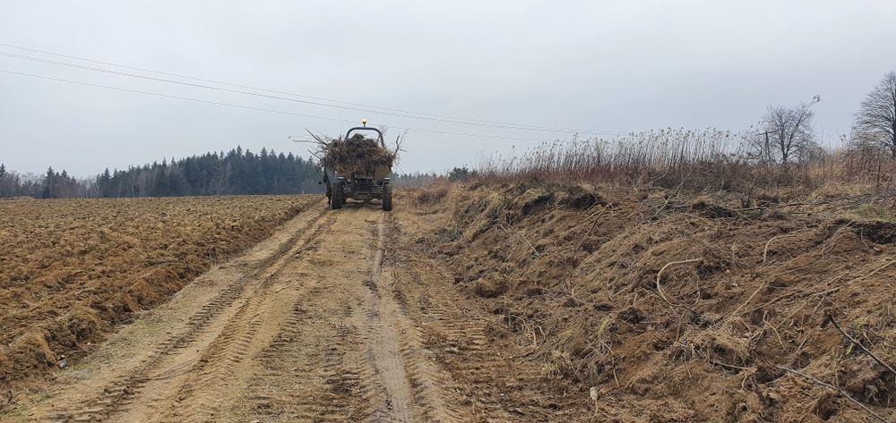 Wycinka Drzew Rekultywacja Karczowanie Sadów Samosiejek l