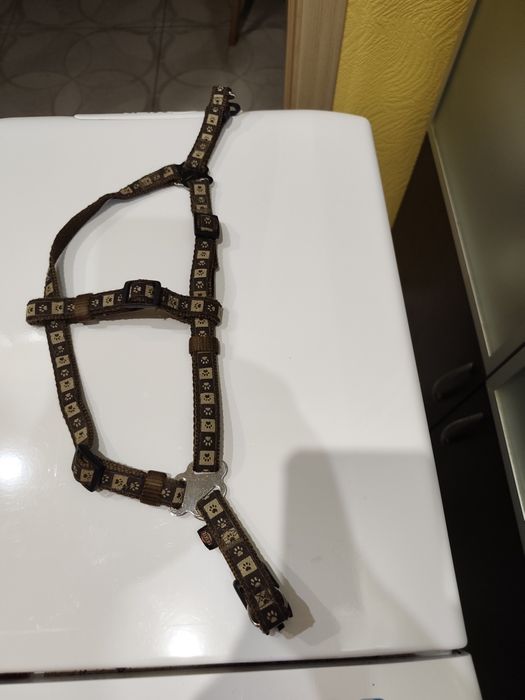 Поводок и шлея для маленьких собачек