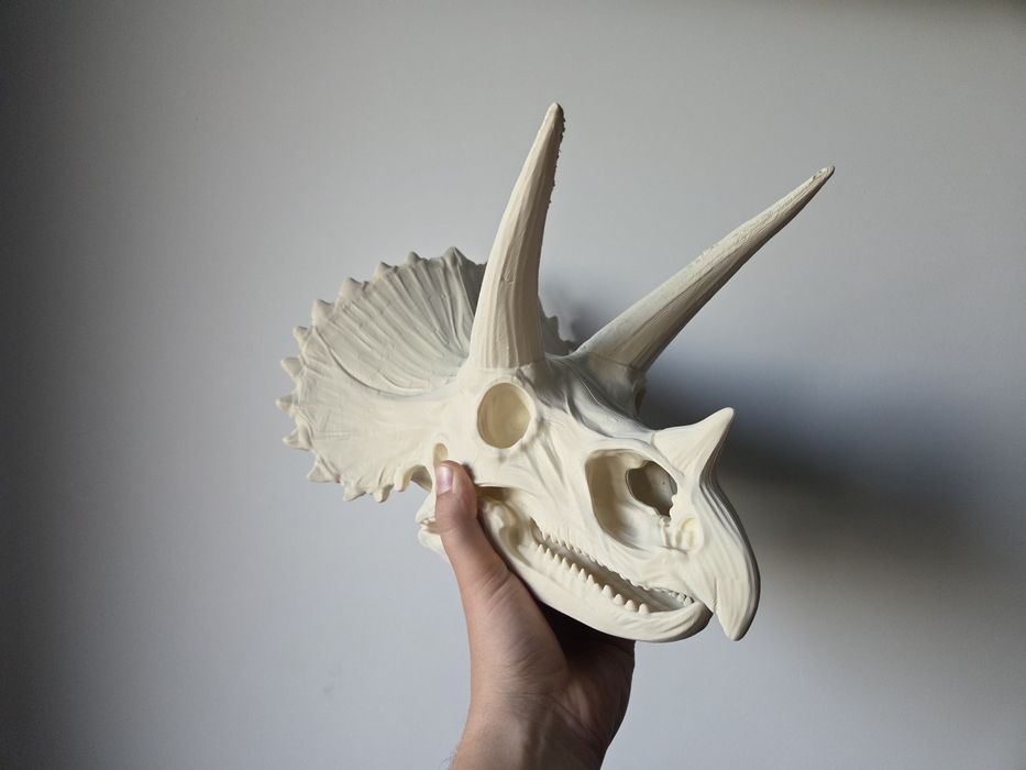 MEGA realistyczna CZASZKA TRICERATOPSA 3D 35cm – HIT!
