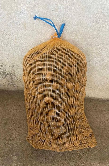 Nozes nacionais 2025 Chandler