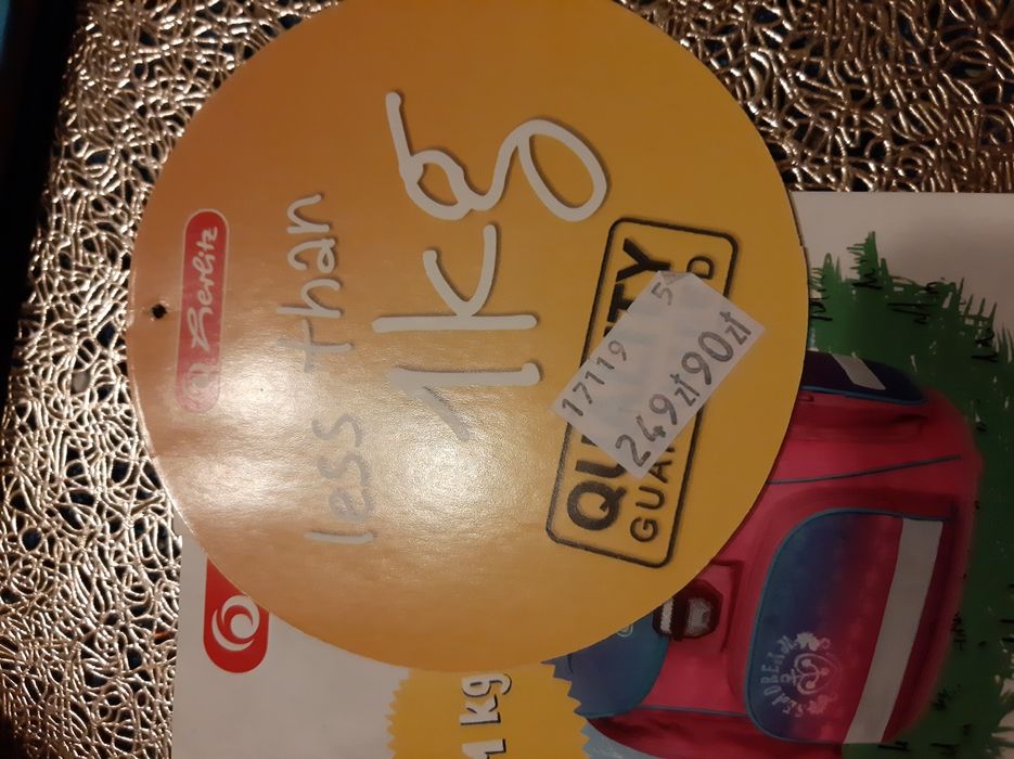 Oryginalny plecak-tornister, używany niecały rok szkolny.