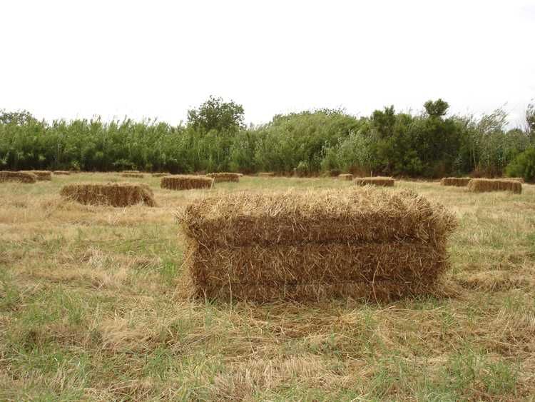 lenha diversificada e seca \fardos de palha