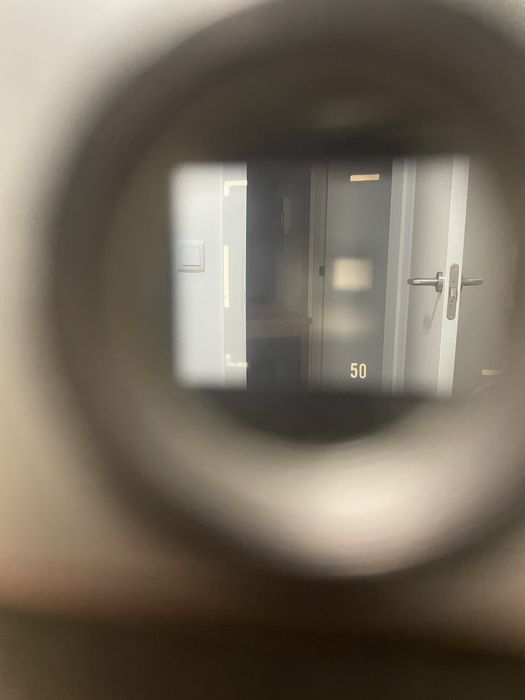 Canon 7 analogica revista