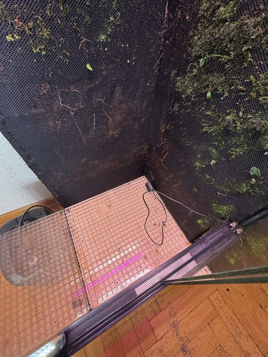 Paludarium terrarium 150x50x50
