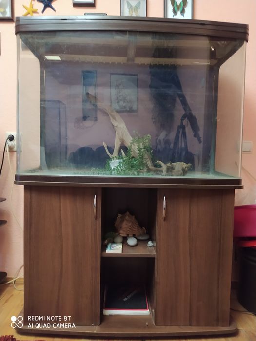 Акваріум, 275 літрів
