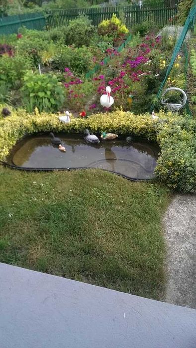 Działka ROD Golejów Staszów - Widok 2