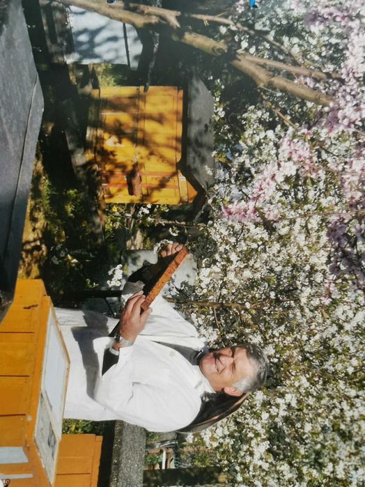 Miód pszczeli naturalny: wielokwiat, rzepakowy 2025