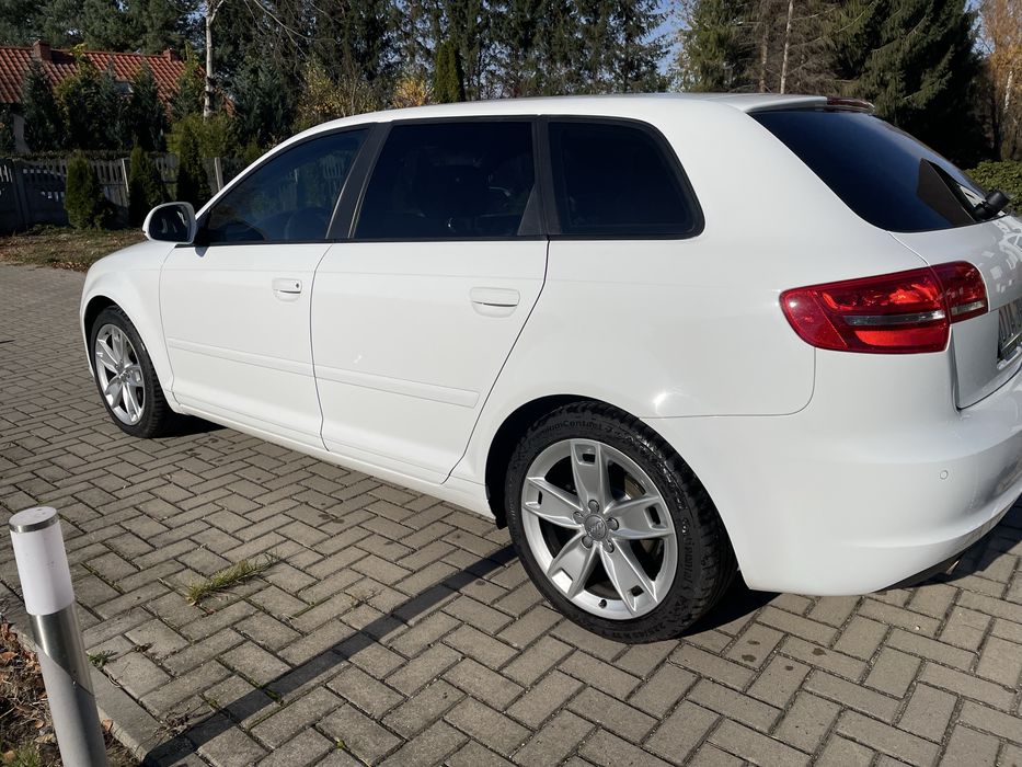 Audi A3 8P 1.6 TDI