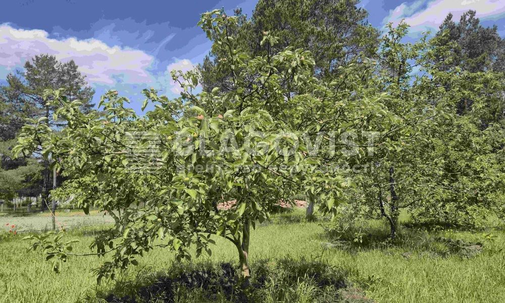 Продаж будинку 750м2 біля Києва 100 соток лес, озеро с. Нижча Дубечня