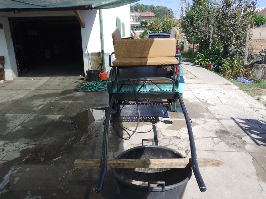 Charrete em bom estado