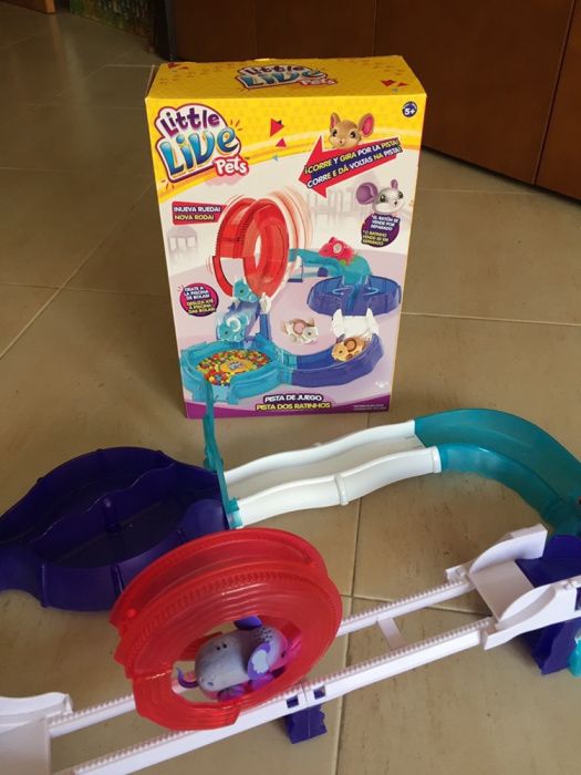 Pista dos ratinhos64750559603585122