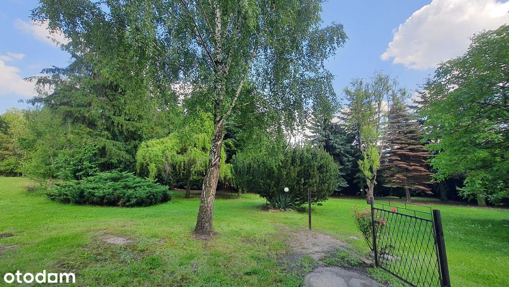 Dom z piwnicą , garażem i dużym ogrodem