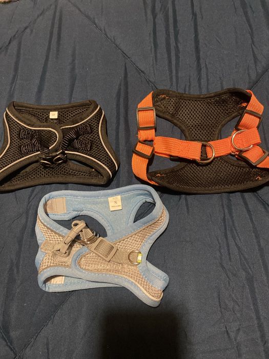 peitoral de cachorro