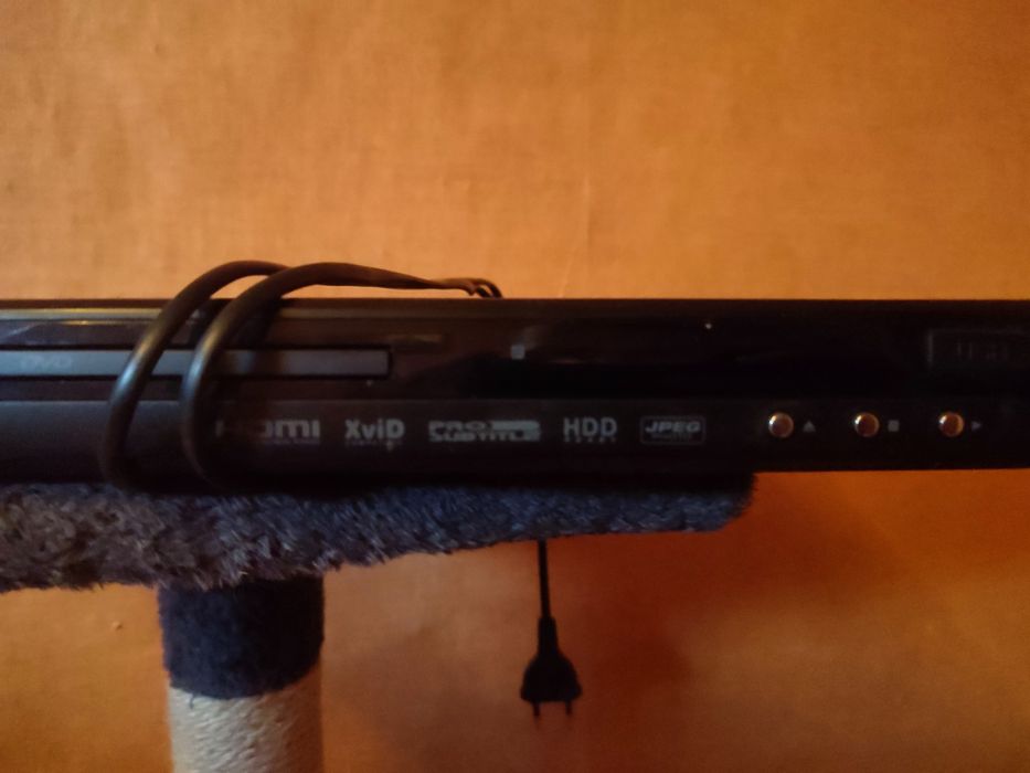 DVD bellwood sprawne