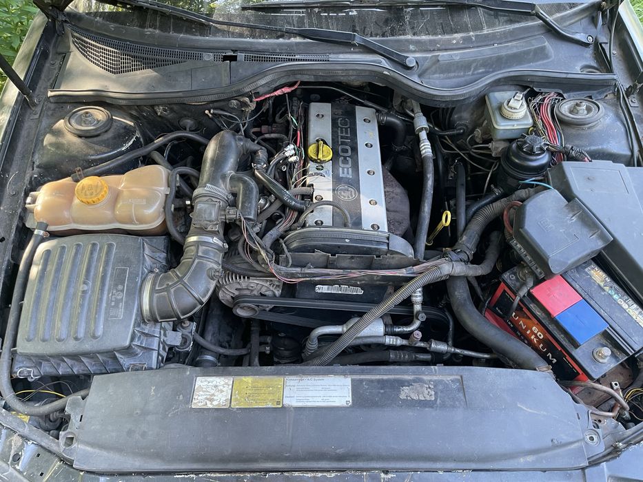 OPEL OMEGA 1994 VIN W0L000026R1096551 фото оголошення 6 з 6